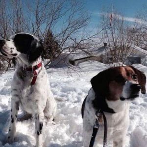 Meet your Posher, Wanda